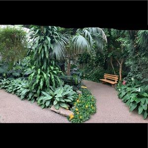 Meet your Posher, Lucy